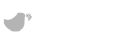 Hypera